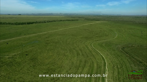 DOS EÓLICOS VIRA P FAZENDA_Moment.00_00_13_11.Quadro545_9ad33981316746aefbd9beda4b554aa81fd76aec.jpg